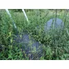 Verkkoaitaa n. 30x20m alalle / Myydään asiakkaan lukuun