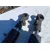 Hydraulisylinterit 2 kpl / trukin kallistuksesta