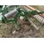 Amazone BBG Pegasus SG302 / Kultivaattori