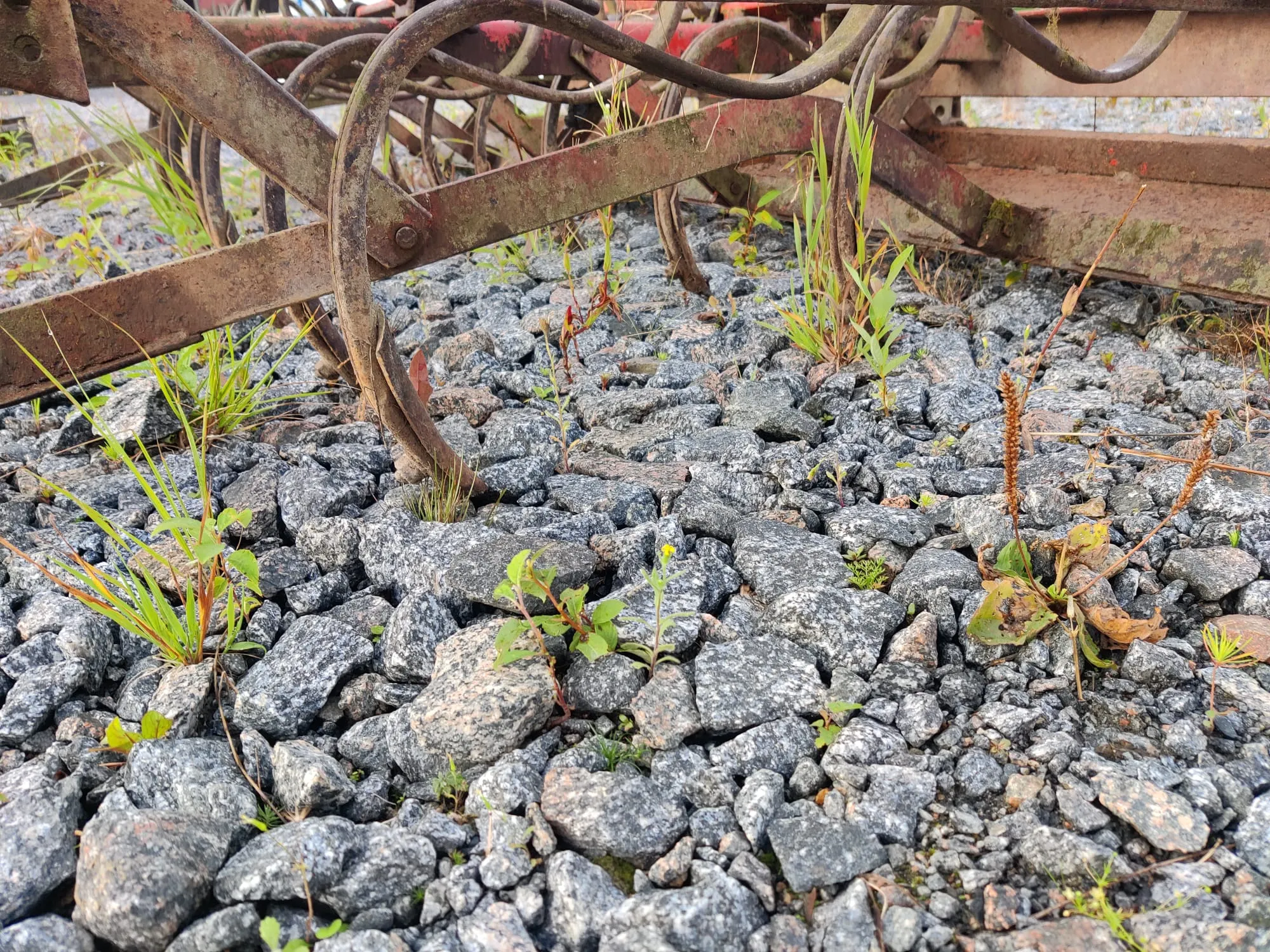 Sampo 280cm äes, etulanalla /